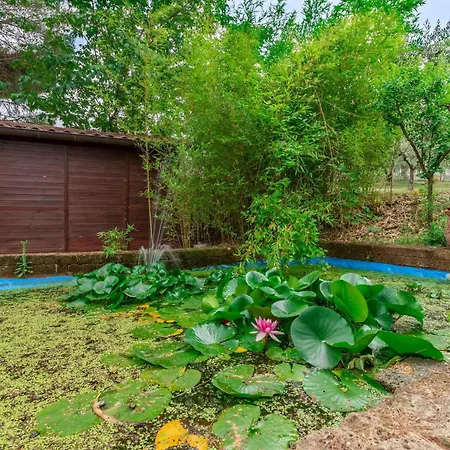 Italian Experience-villa Rosso Corbezzolo Villa *